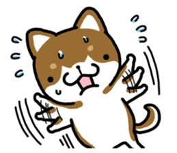 Cha-Shiba Inu sticker #13020699