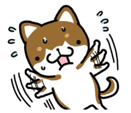 Cha-Shiba Inu sticker #13020699