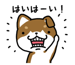 Cha-Shiba Inu sticker #13020705