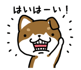 Cha-Shiba Inu sticker #13020705