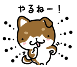 Cha-Shiba Inu sticker #13020707