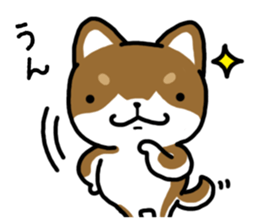 Cha-Shiba Inu sticker #13020708
