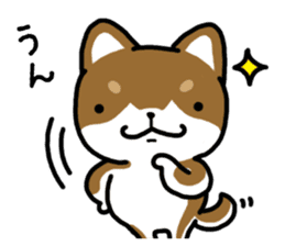Cha-Shiba Inu sticker #13020708