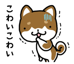Cha-Shiba Inu sticker #13020709