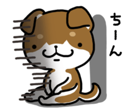 Cha-Shiba Inu sticker #13020714