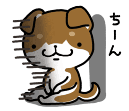 Cha-Shiba Inu sticker #13020714