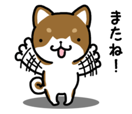 Cha-Shiba Inu sticker #13020715