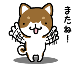 Cha-Shiba Inu sticker #13020715