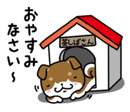 Cha-Shiba Inu sticker #13020716