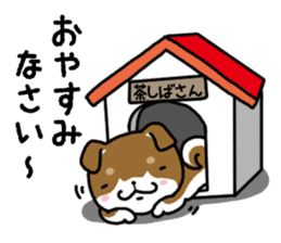Cha-Shiba Inu sticker #13020716