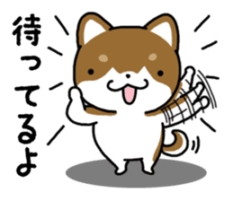 Cha-Shiba Inu sticker #13020717