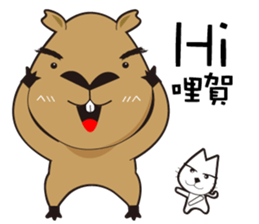 Hydrochoerus hydrochaeris 2 sticker #13022031