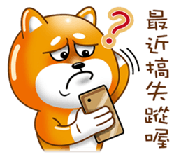 Hakki sticker #13025155