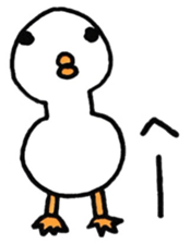 Birds there is no motivation sticker #13027062