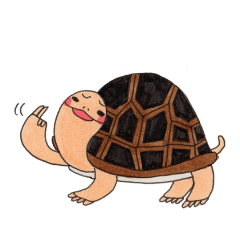 Tortoises KAMEKICHI