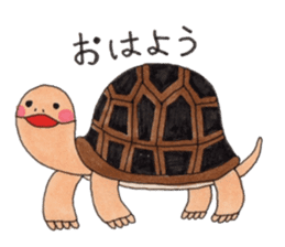 Tortoises KAMEKICHI sticker #13027102