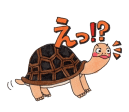 Tortoises KAMEKICHI sticker #13027115