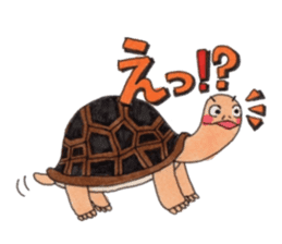 Tortoises KAMEKICHI sticker #13027115