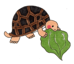 Tortoises KAMEKICHI sticker #13027121