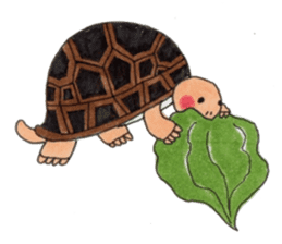 Tortoises KAMEKICHI sticker #13027121
