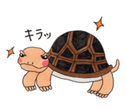 Tortoises KAMEKICHI sticker #13027122