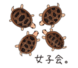 Tortoises KAMEKICHI sticker #13027124