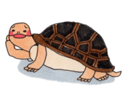Tortoises KAMEKICHI sticker #13027129