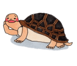 Tortoises KAMEKICHI sticker #13027129