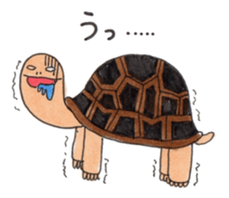 Tortoises KAMEKICHI sticker #13027133