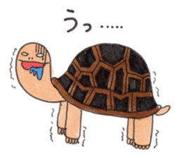 Tortoises KAMEKICHI sticker #13027133