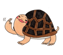 Tortoises KAMEKICHI sticker #13027136