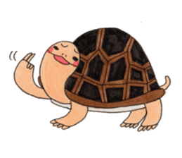 Tortoises KAMEKICHI sticker #13027136