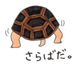 Tortoises KAMEKICHI sticker #13027137