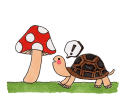 Tortoises KAMEKICHI sticker #13027138