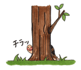 Tortoises KAMEKICHI sticker #13027140