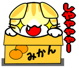 Impertinent babycat2 sticker #13027916