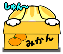 Impertinent babycat2 sticker #13027917