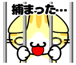 Impertinent babycat2 sticker #13027931