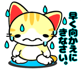 Impertinent babycat2 sticker #13027936