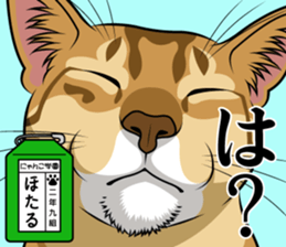 Nyanko school(PART3) sticker #13028121