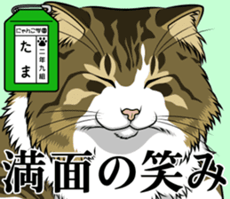 Nyanko school(PART3) sticker #13028126