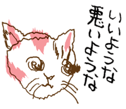 Iffy cat sticker #13029663