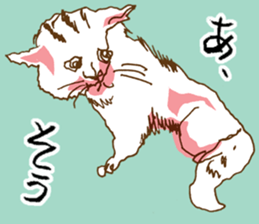 Iffy cat sticker #13029683