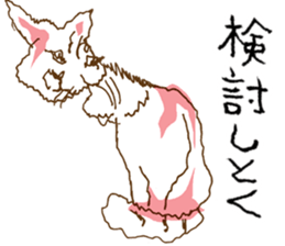 Iffy cat sticker #13029685