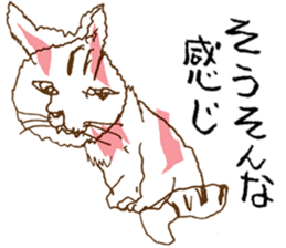 Iffy cat sticker #13029691