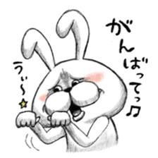 Realistic rabbit. sticker #13030198