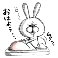 Realistic rabbit. sticker #13030220