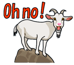 Funny,Cute and Cool Animals-by Miyabee sticker #13030903