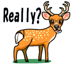 Funny,Cute and Cool Animals-by Miyabee sticker #13030909