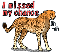 Funny,Cute and Cool Animals-by Miyabee sticker #13030920